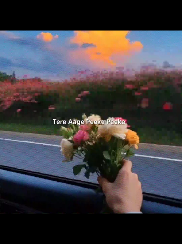 @Ꭱꫝsᴇʟ ʙʜꫝɪ (S)