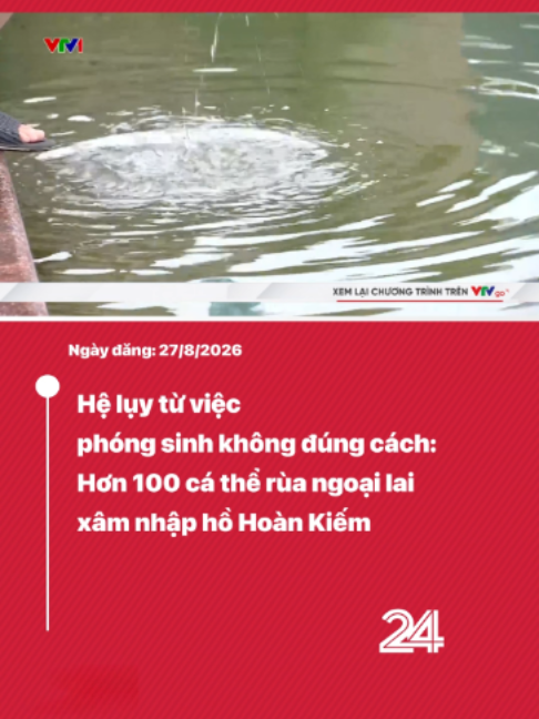 @VTV24
