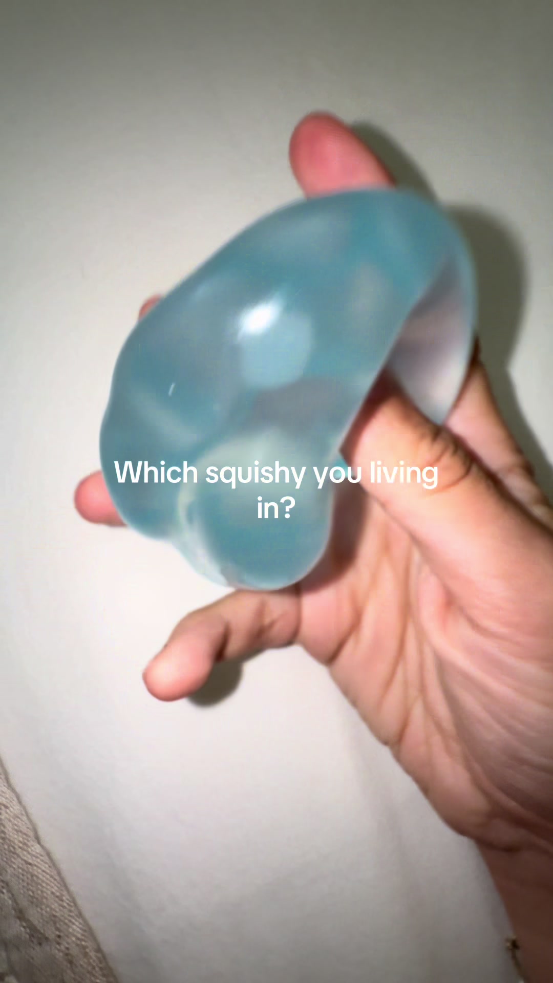 @Berry Squishy
