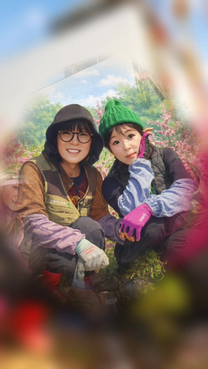 @쑥부쟁이