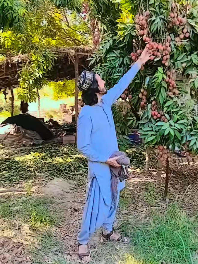 @SHAH G 🙏
