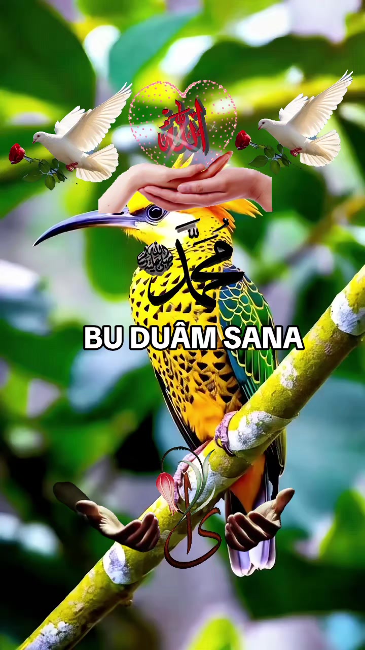 @NAKŞİ💚AYLESİ💜AHSEN🌹GÜL