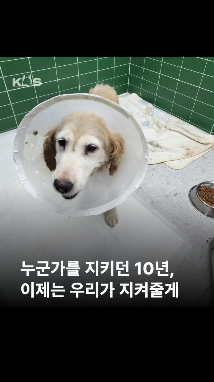 @🐶🐶엄지맘🐕&zwj;🦺🦮🐩