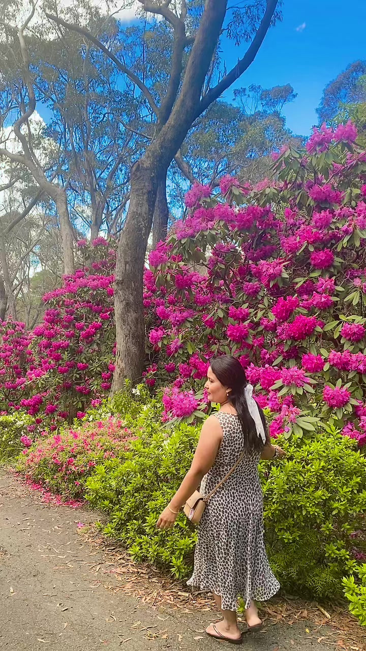 @sunukarki2