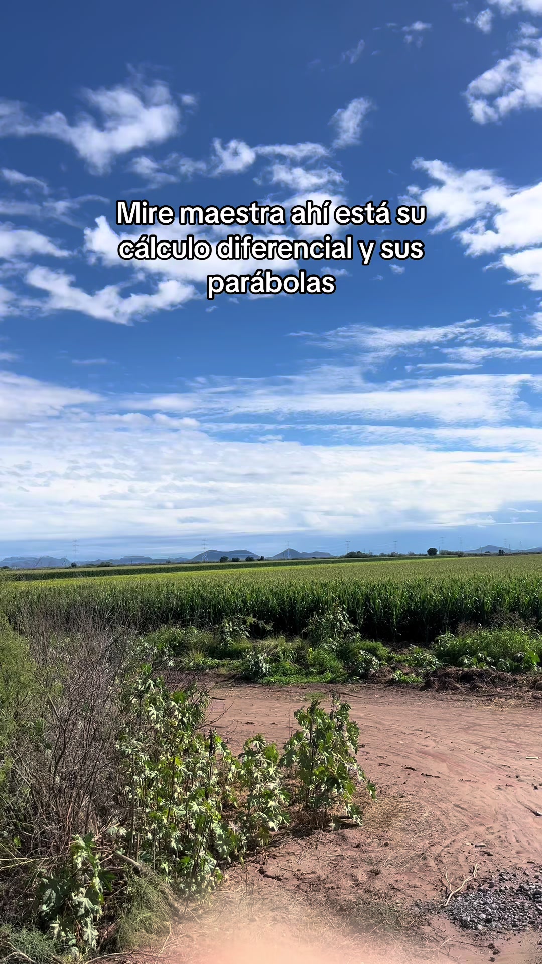 @Elpedrito19