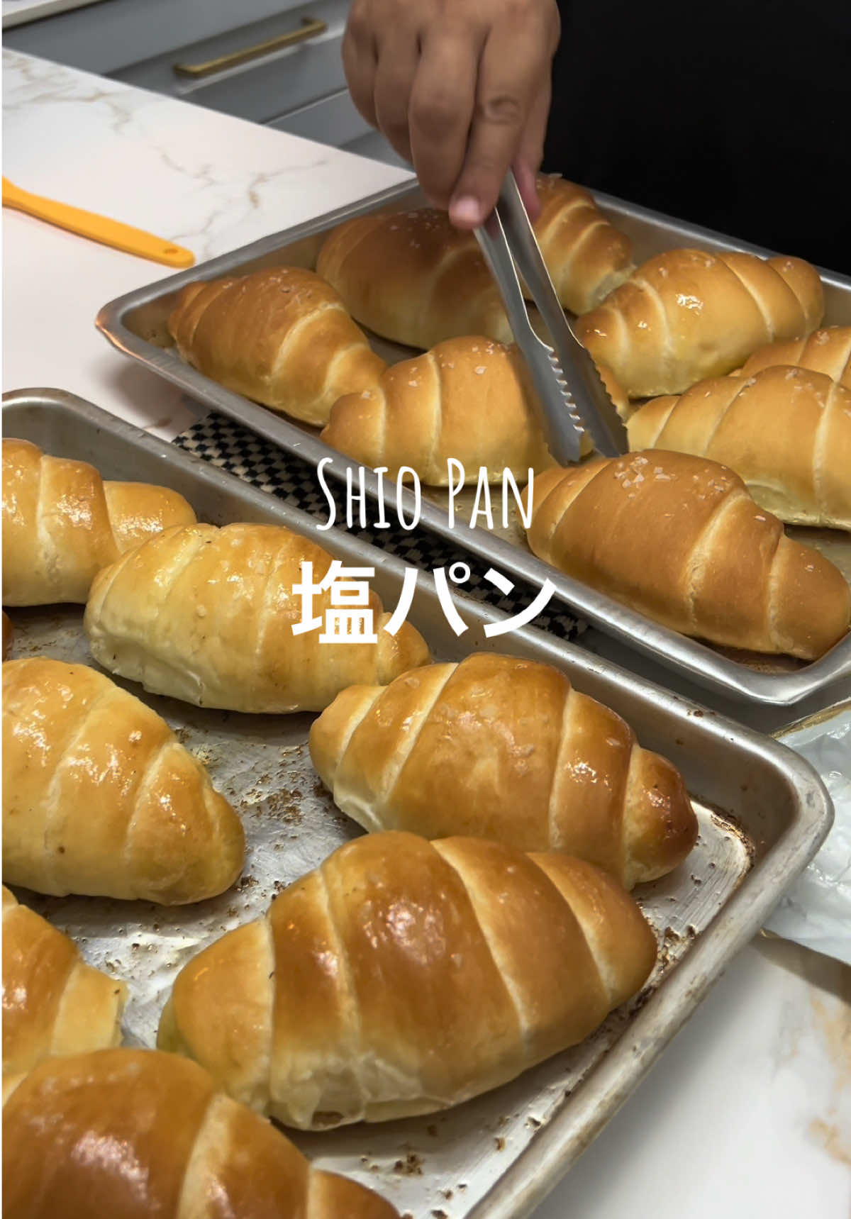 @Travelwok.co