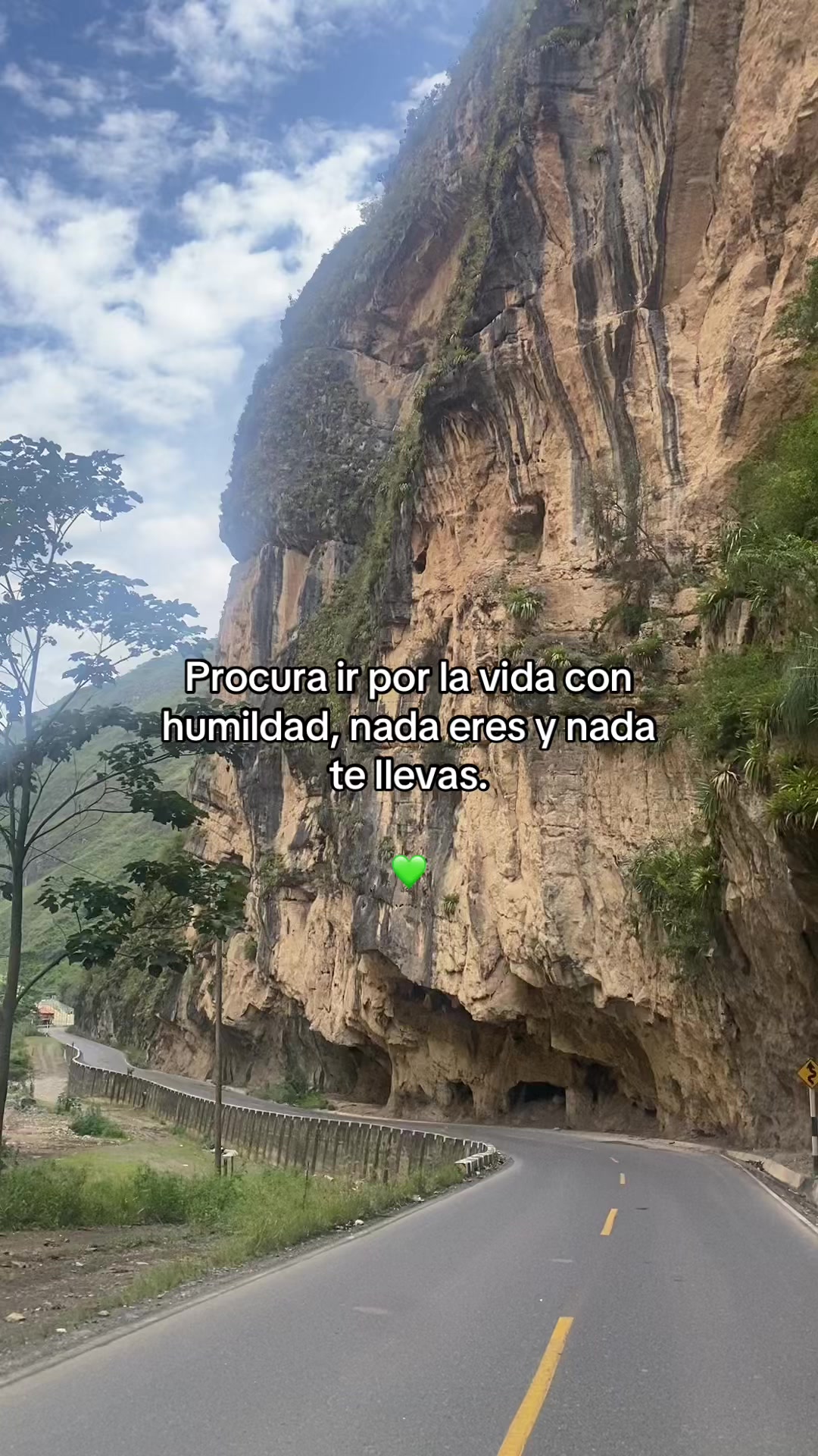 @paito_b33