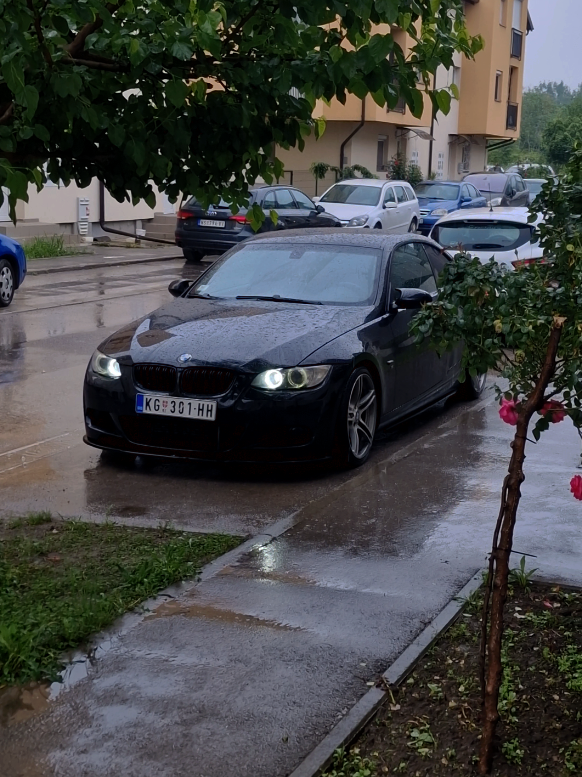 @Laponac
