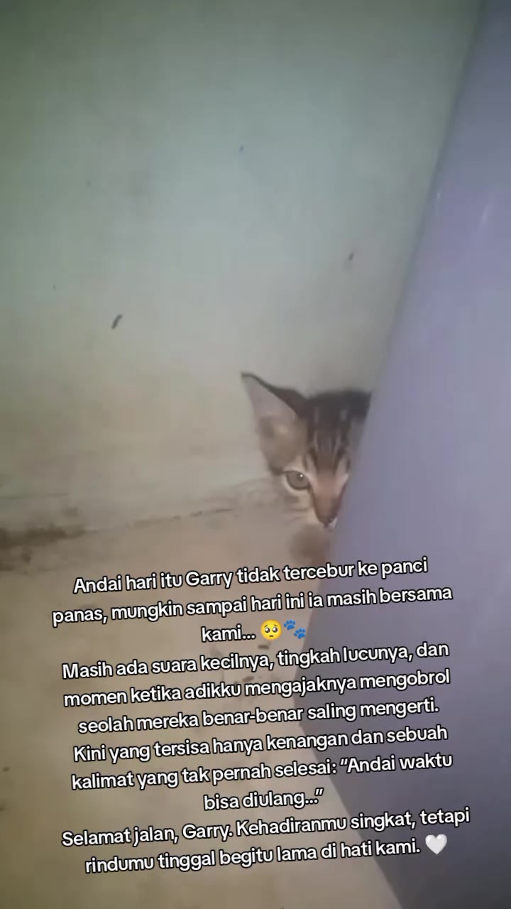 @Lina herlina