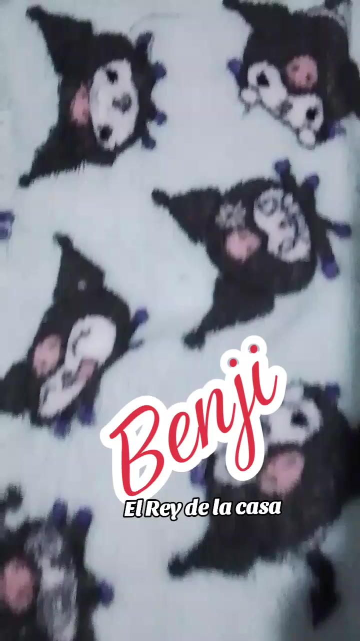 @🐶 Benji_Mya 🐾🐕