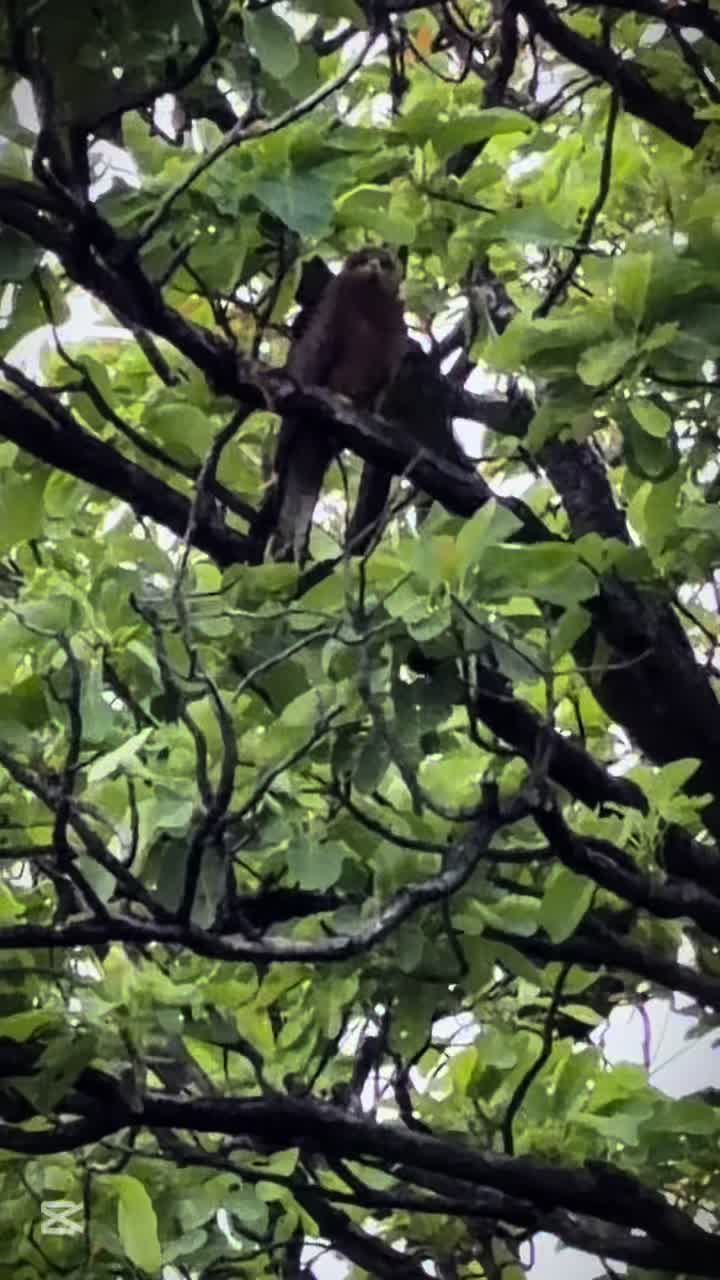 @𝑺𝒕𝒂𝒍𝒊𝒏𝒂 ✅️🇳🇵