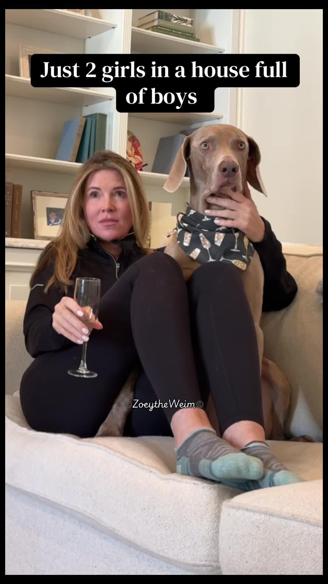@Zoey the Weim