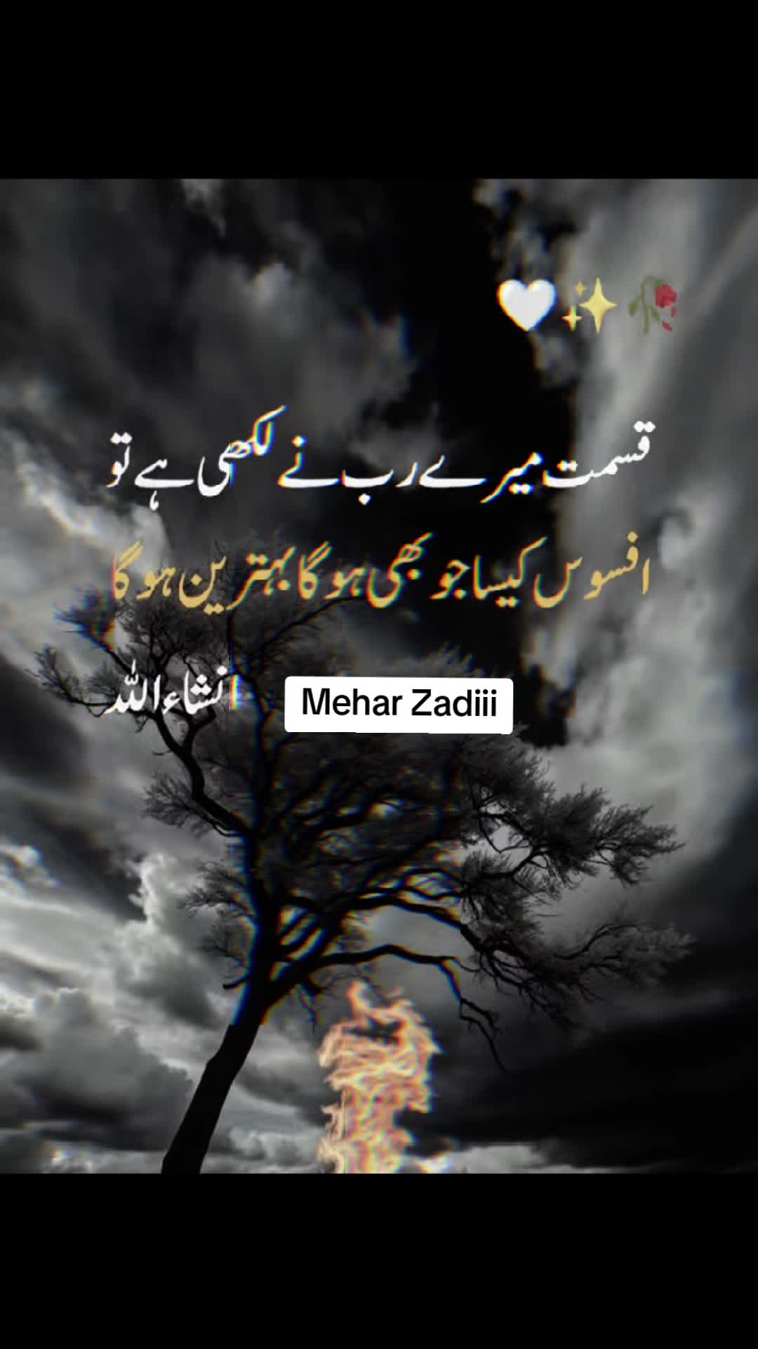 @Mehar Zadi 🖇️🤞🏻