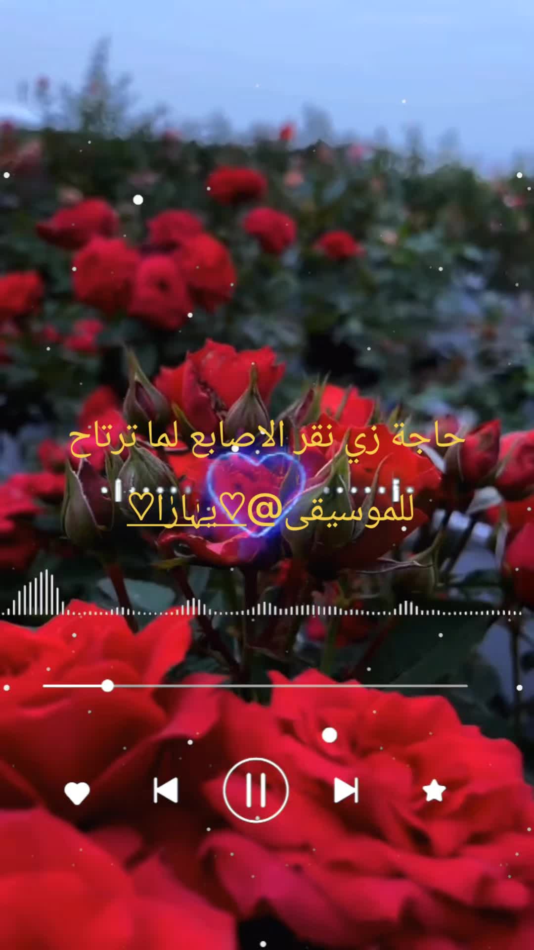 @الممشى العريض🪕🎺🎻