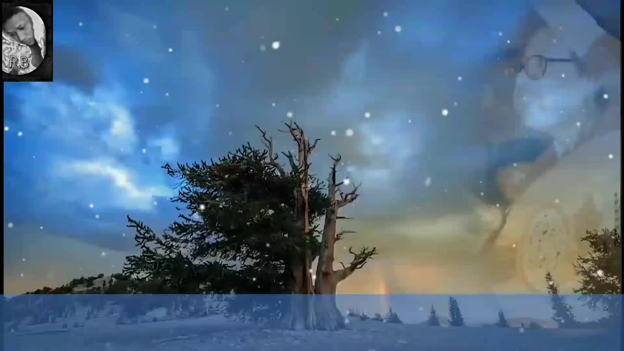 @الممشى العريض🪕🎺🎻