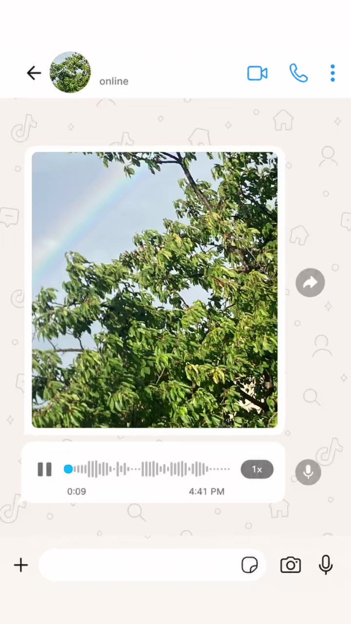 @7547