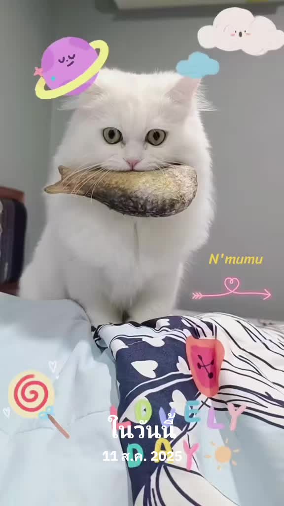 @🌻🐈🦁mumu 木木🦁🐈🌻
