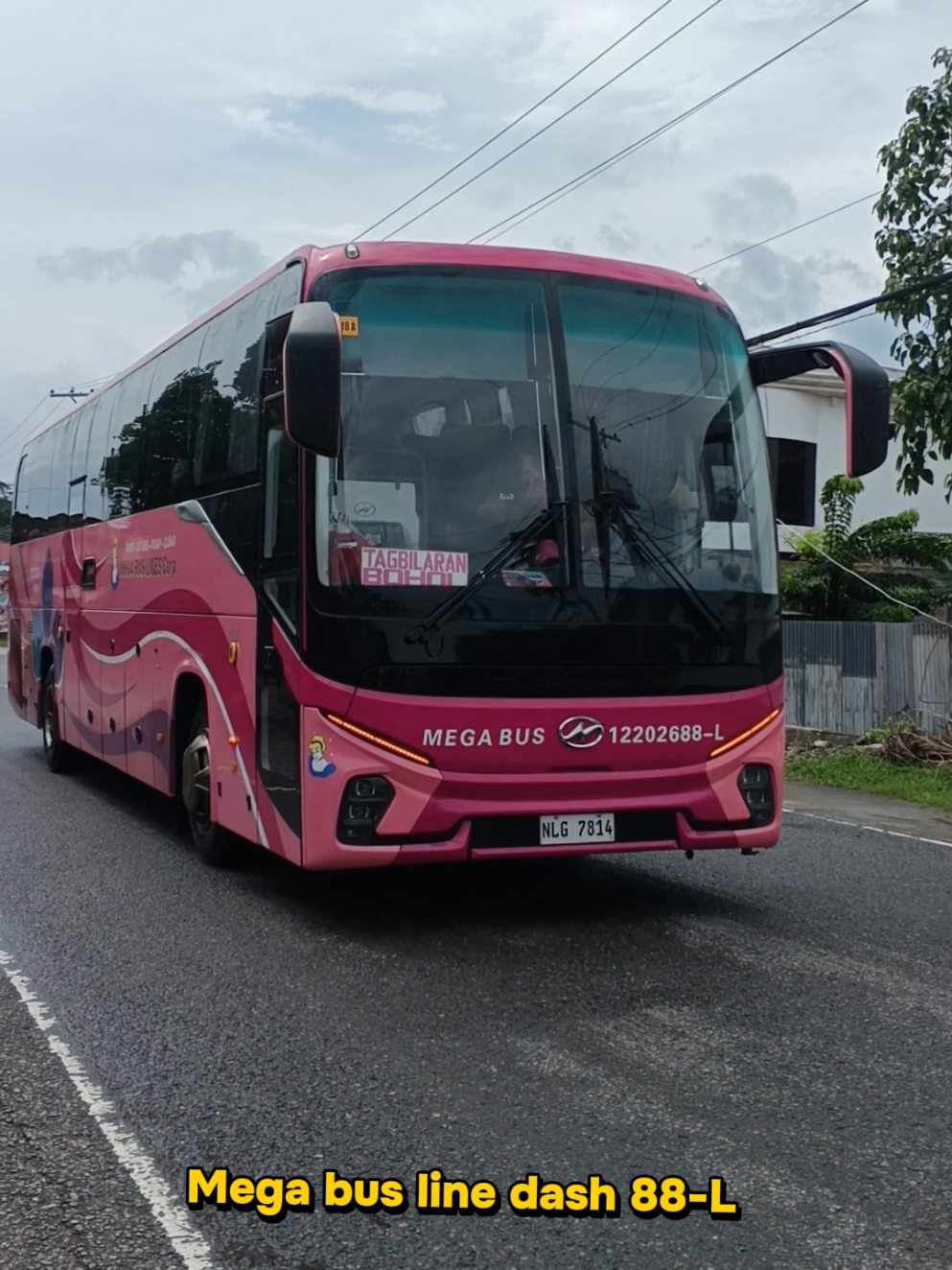@VG BUS SIGHTS