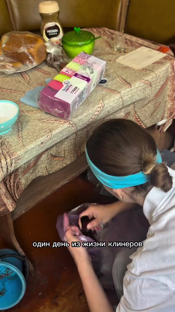 @🐰