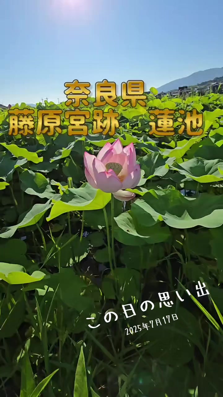 @竜一