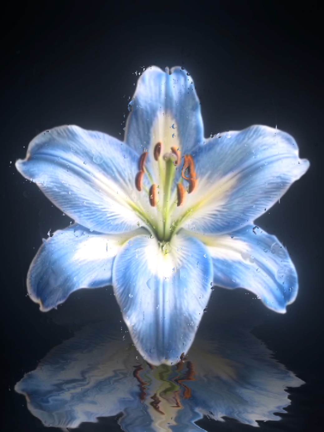 @𝐌𝐔𝐒𝐈𝐂 𝐌𝐄𝐃𝐄𝐑𝐎