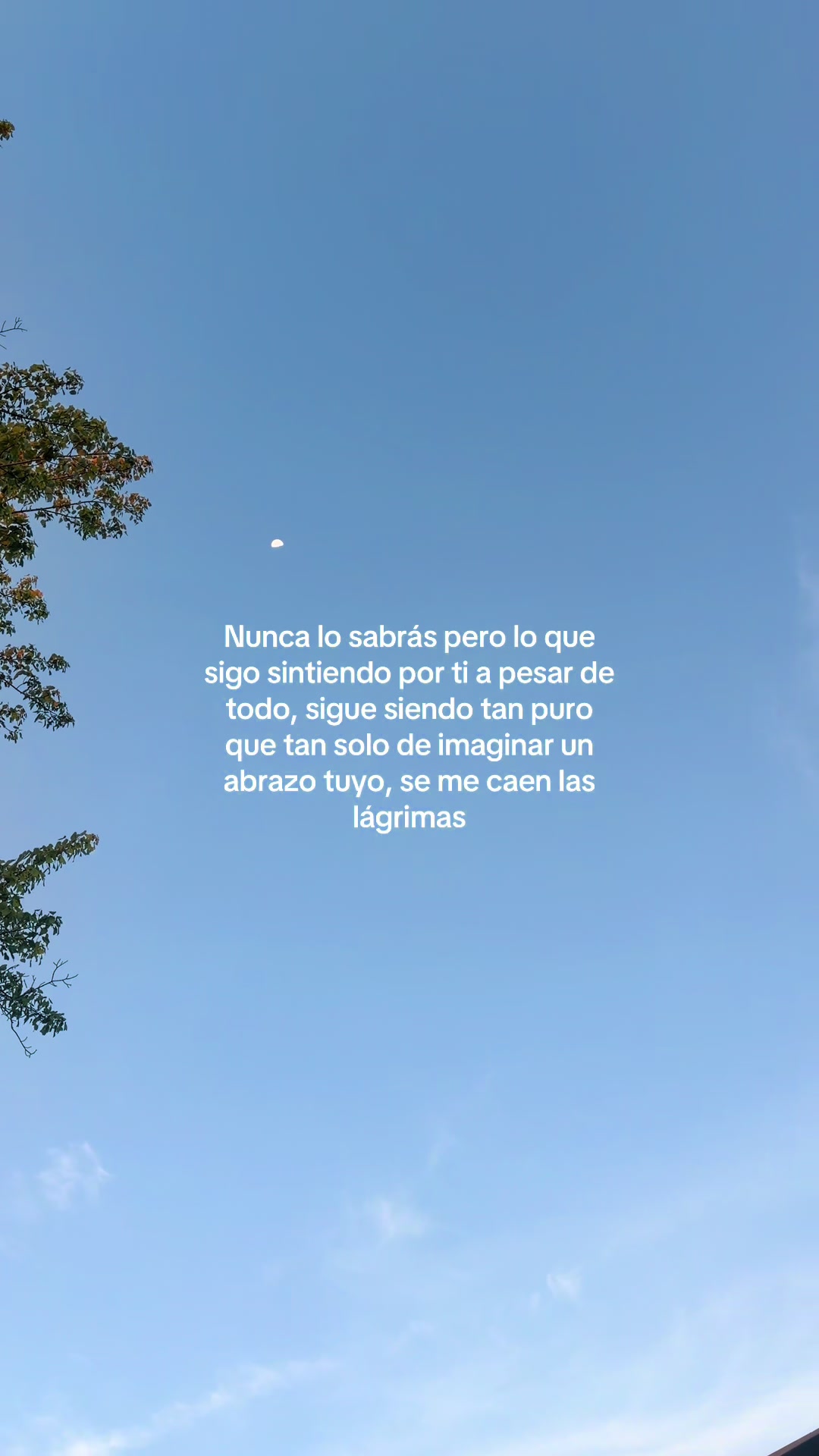 @Frases de todo un poco...