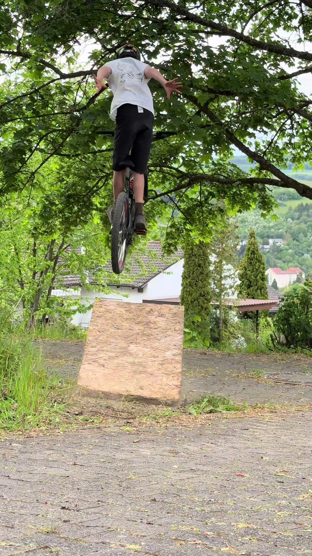 @Finn.On.Orbea