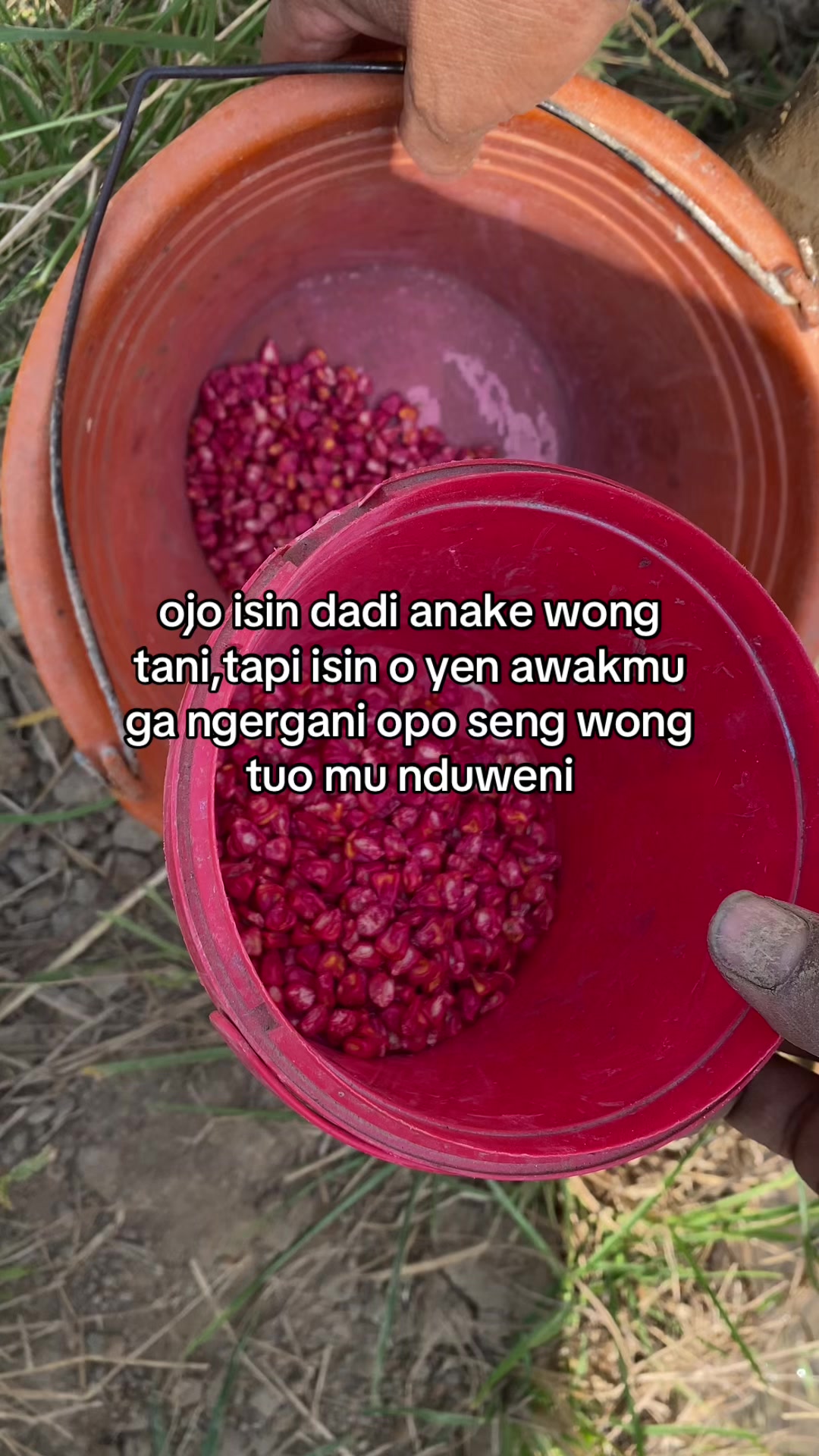 @๐๐๐จ๐ค๐ก๐ก๐ข๐๐ฎ๐ค—