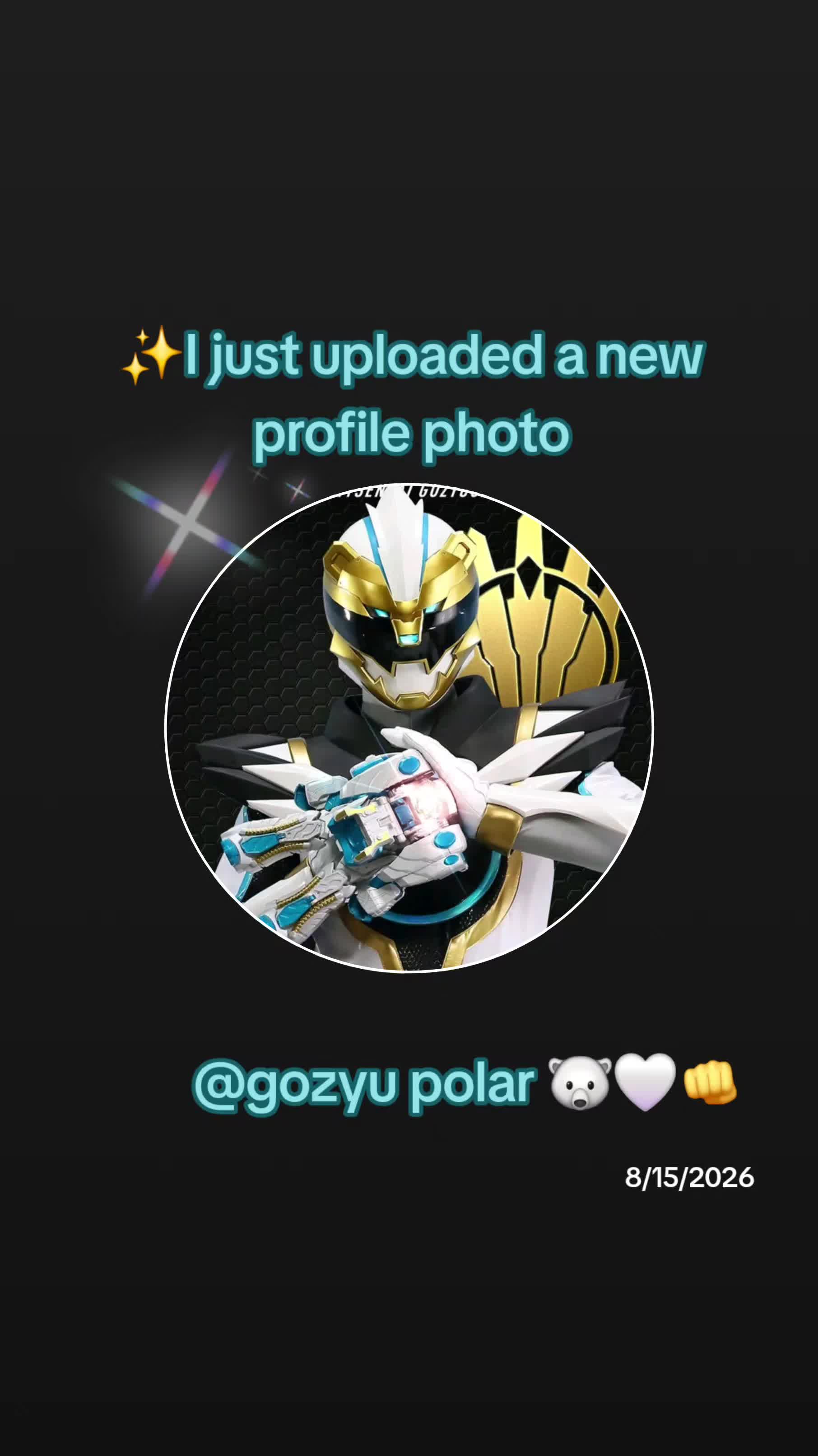 @gozyu polar 🐻&zwj;❄🤍👊