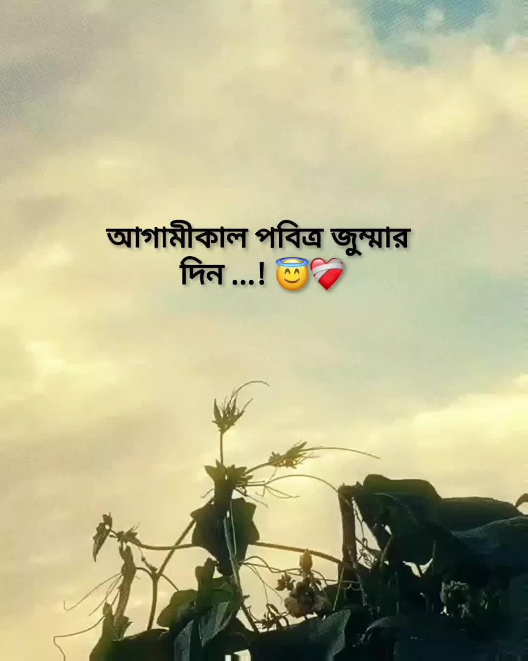 @Rakib Khan