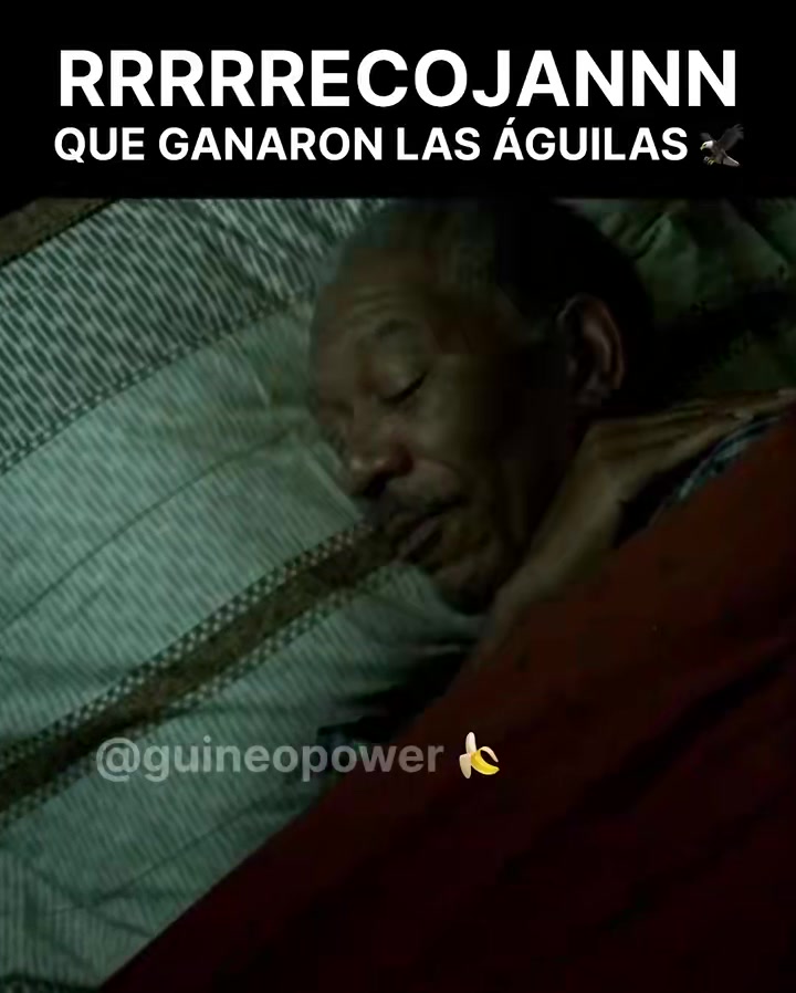 @Guineo Power