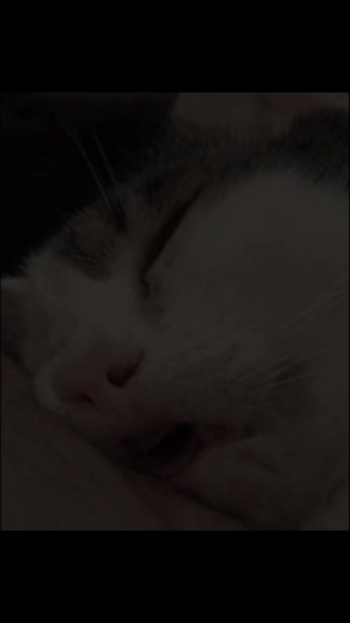 @JAYG4MESLol