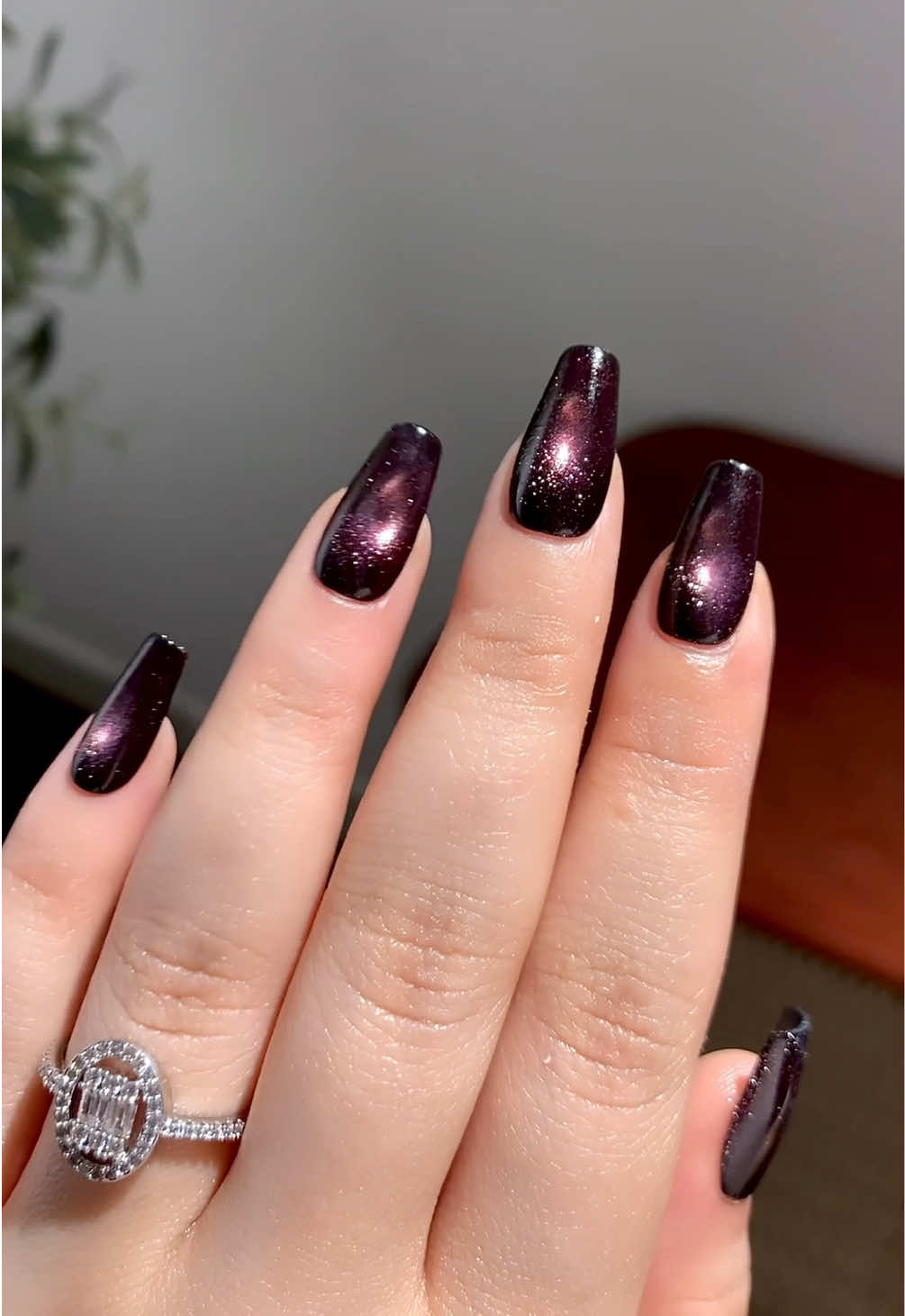 @اندلين بيوتي✨