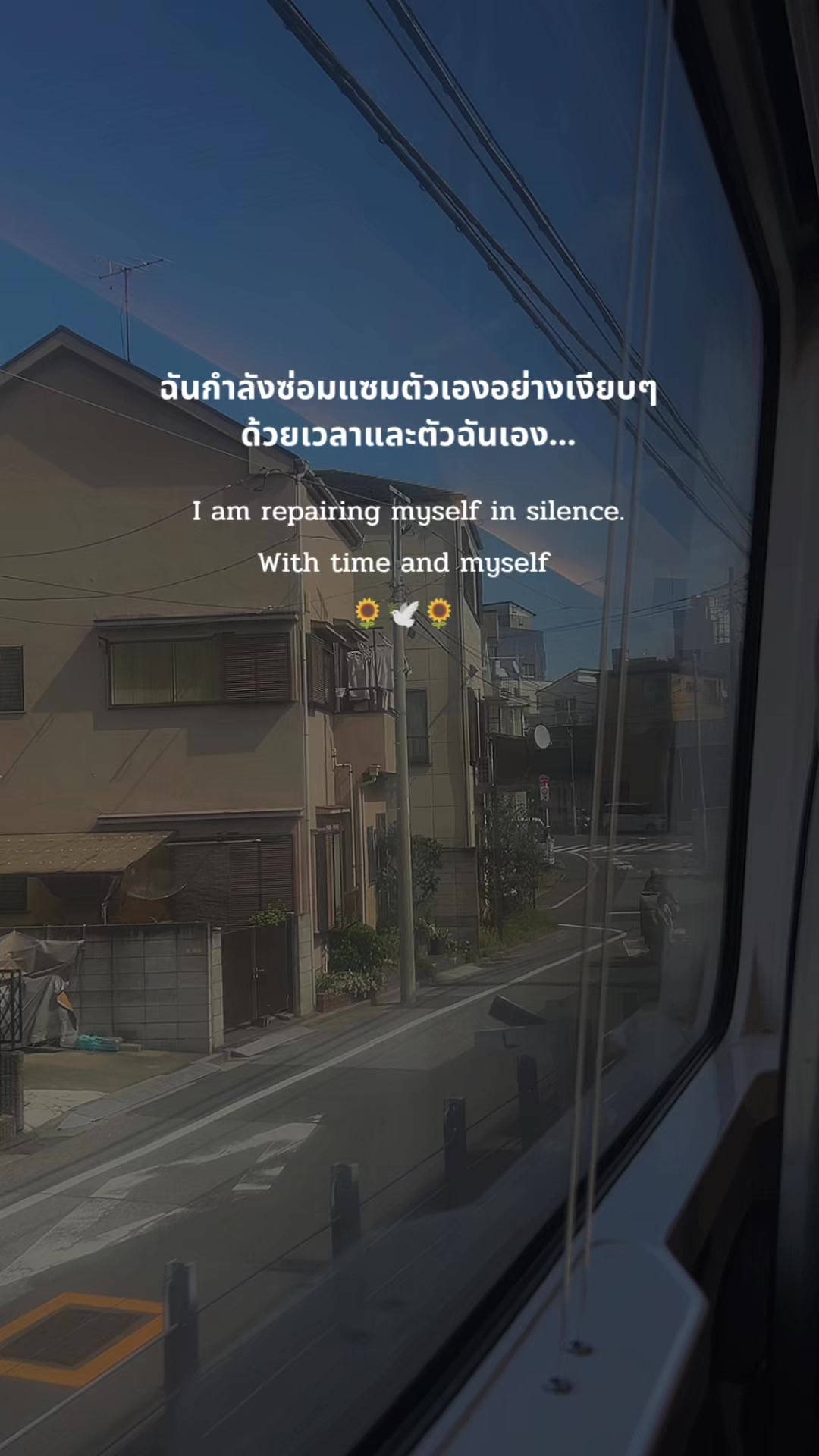 @🤭นินิว 🇹🇭🇴🇲