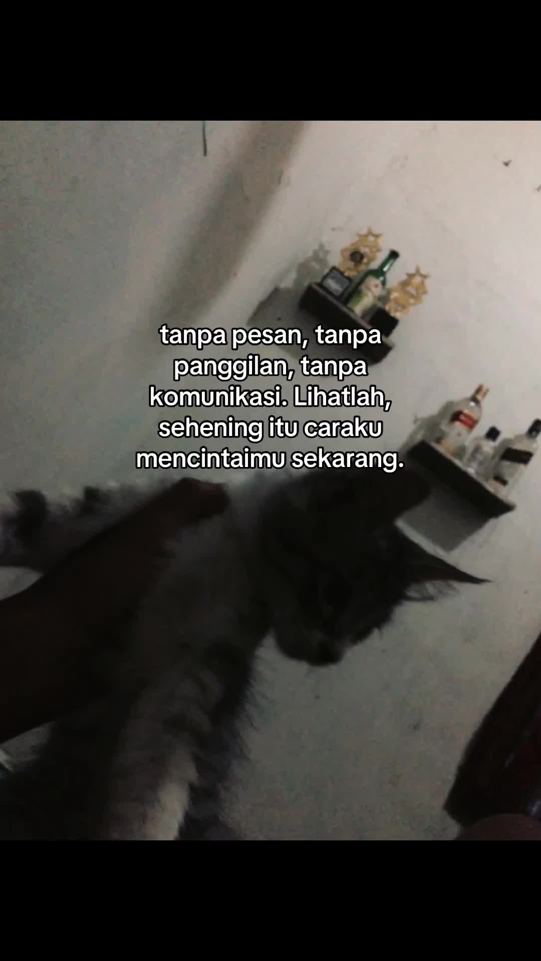 @yanzzz💥