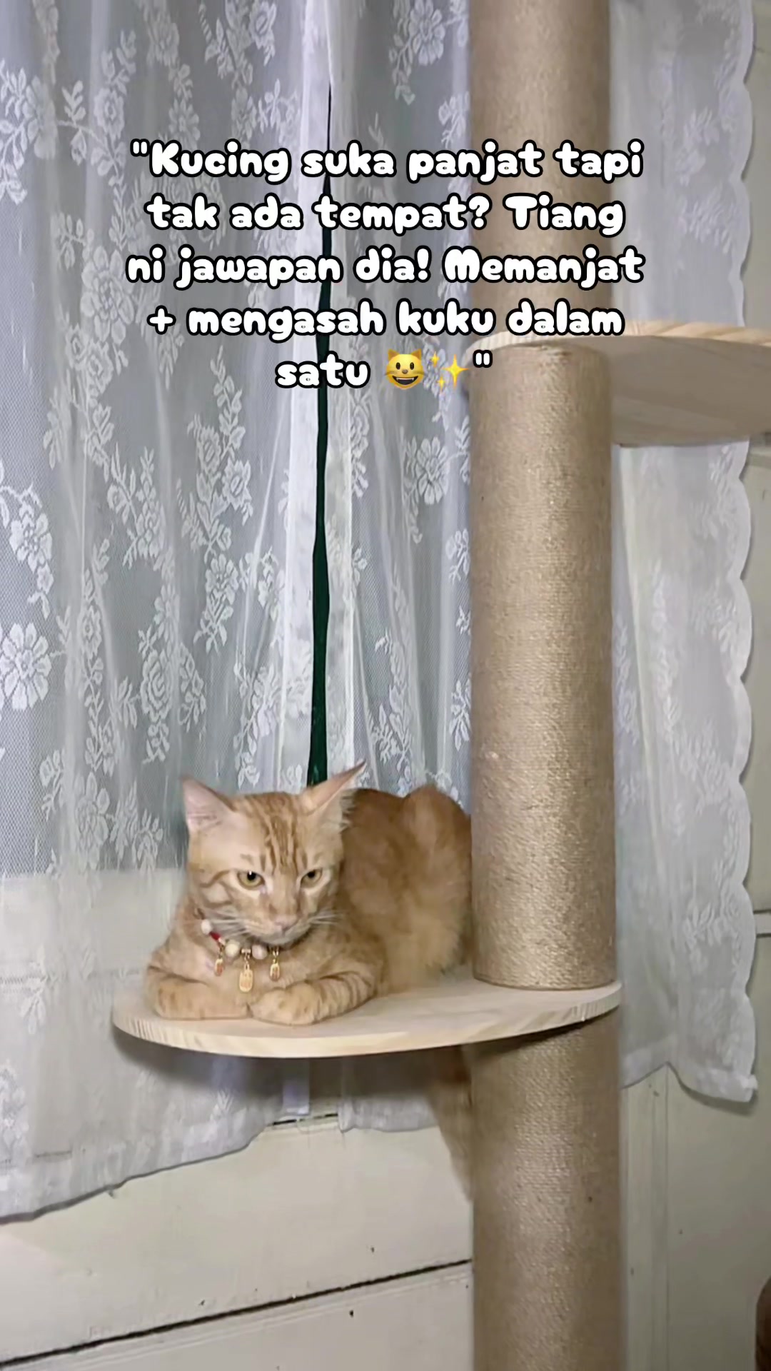 @Deqjah Love | Share Benda Best