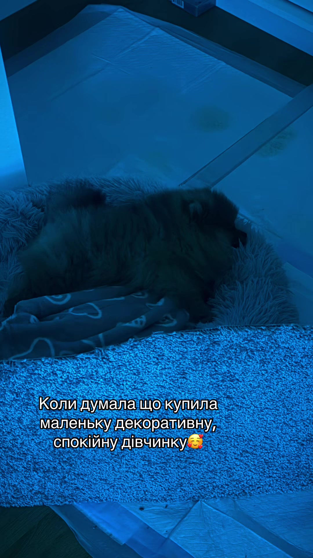 @D.🩶
