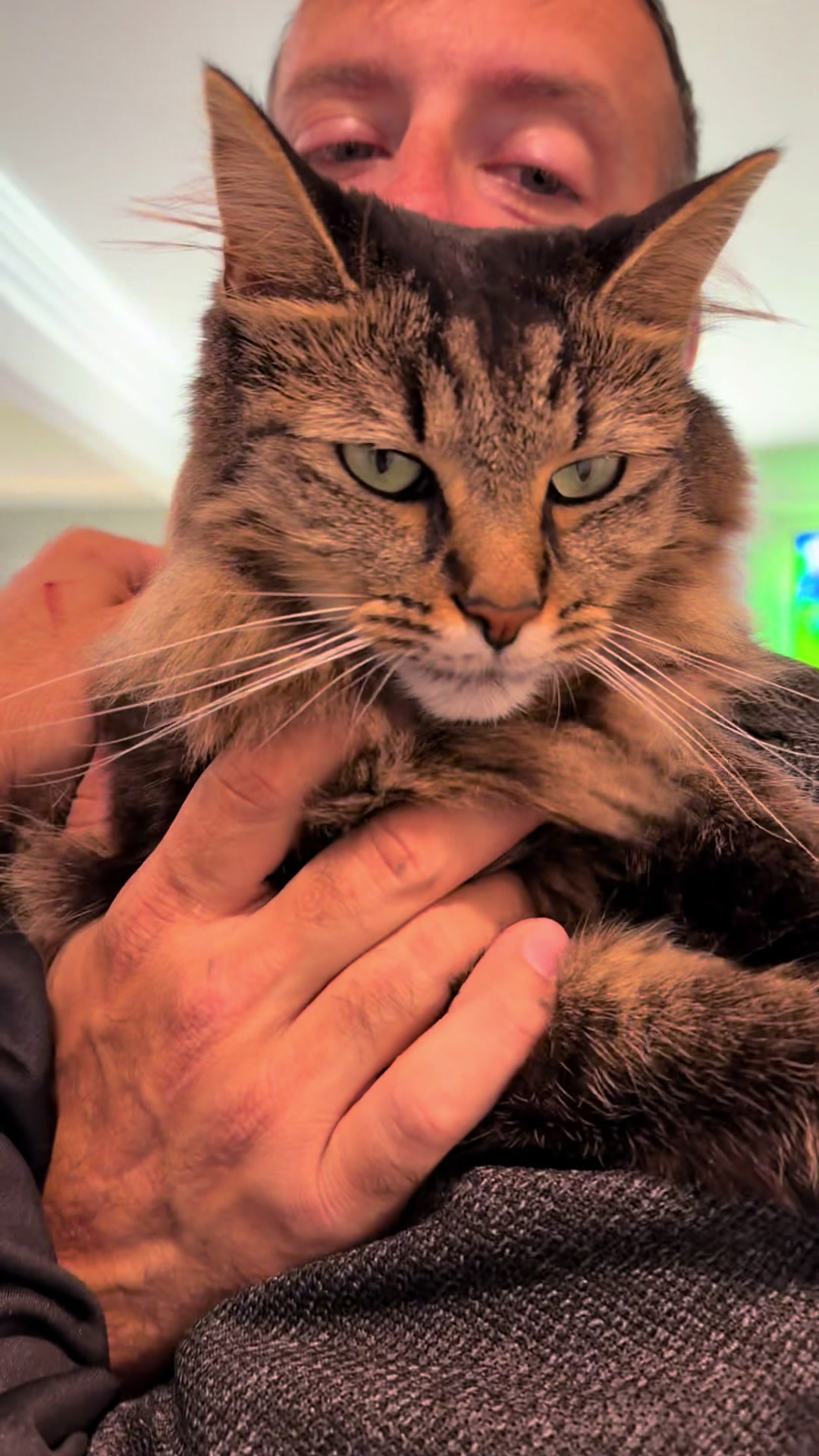 @RoxySnowballCatDrama