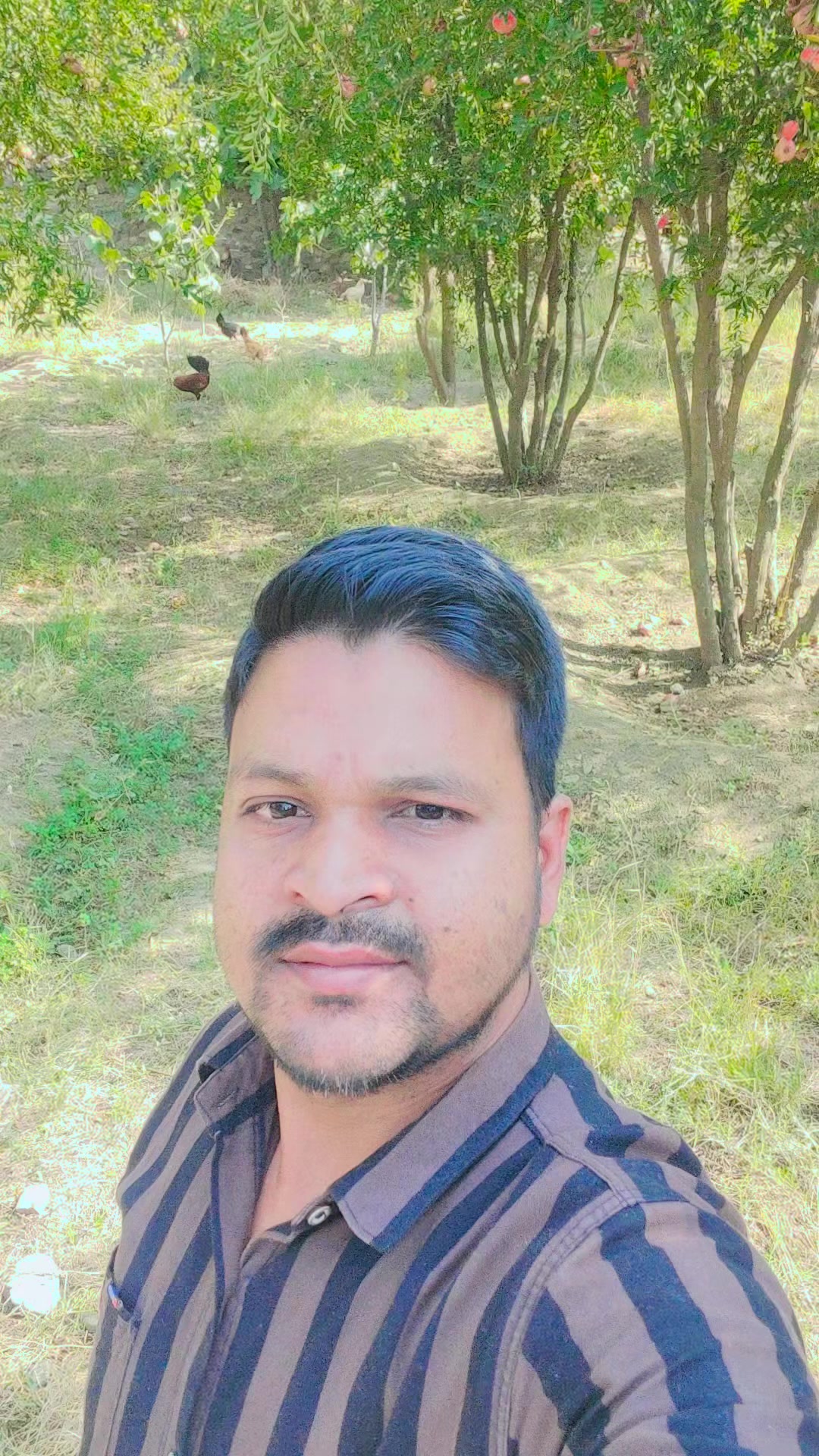 @mushraf Ali@461