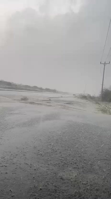@آبووسآم برق آلَساحل⚡️⛈️
