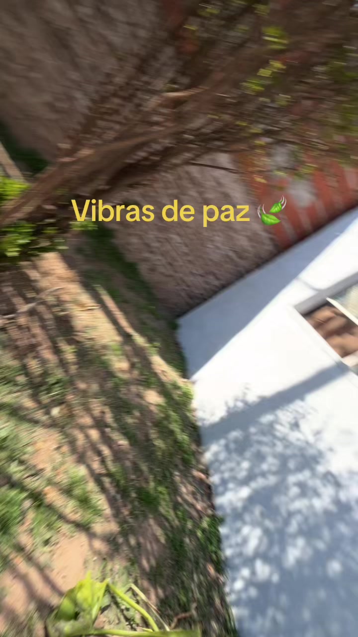 @delfina.marzano