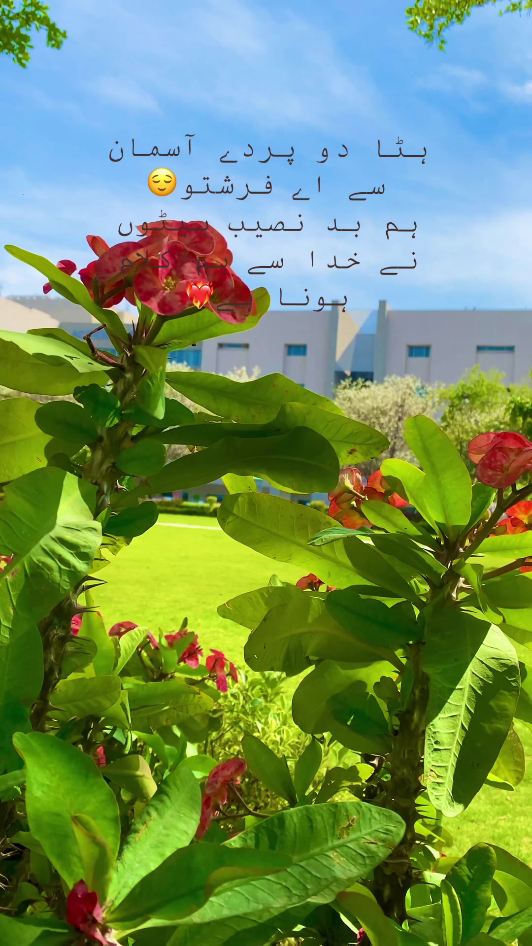 @✨🥀مریم