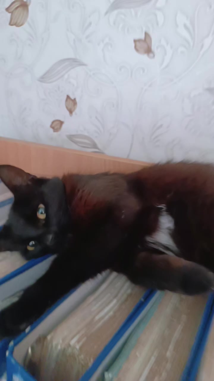 @@Доллар на столе@