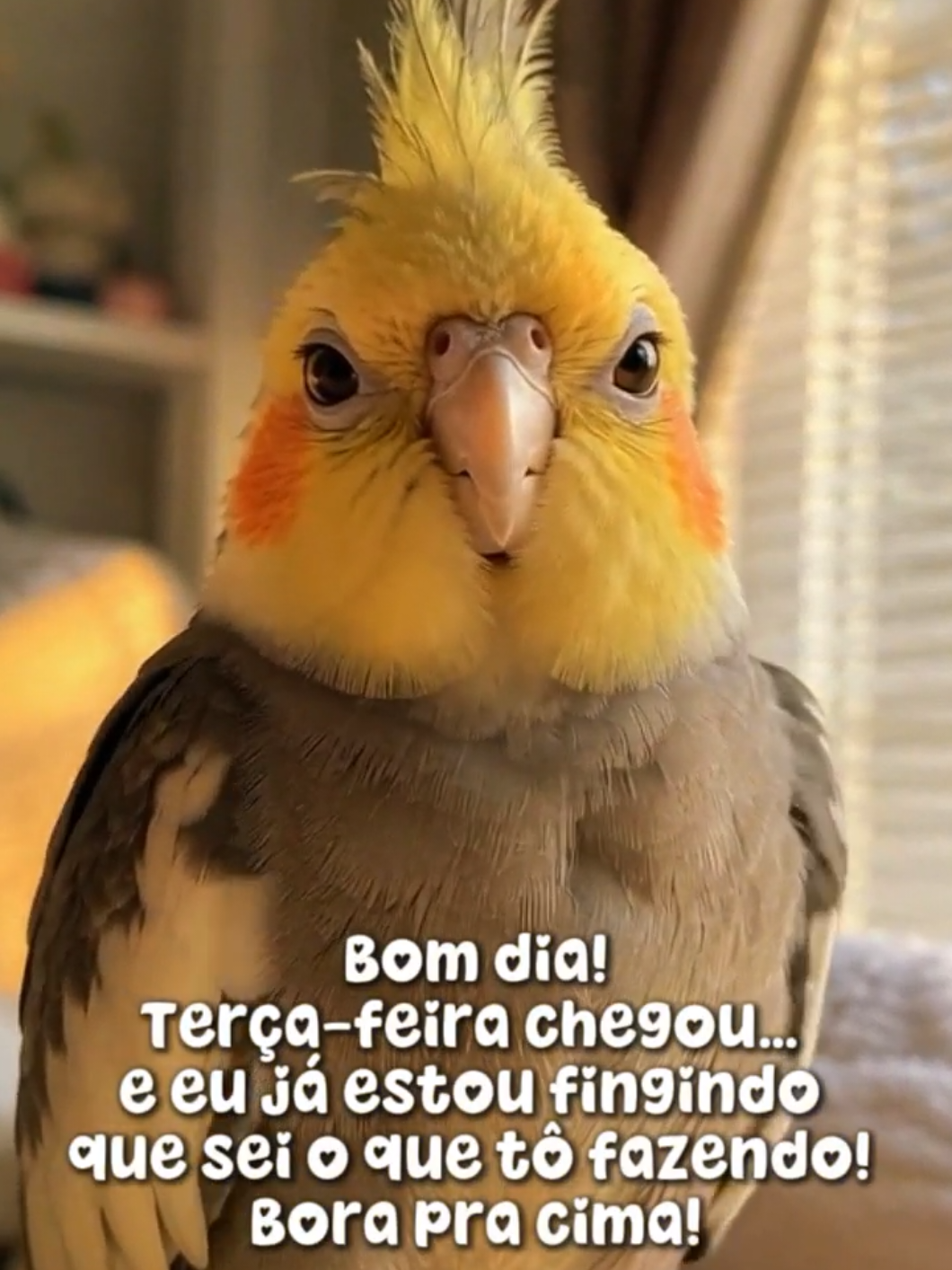 @Claudia Barros IA