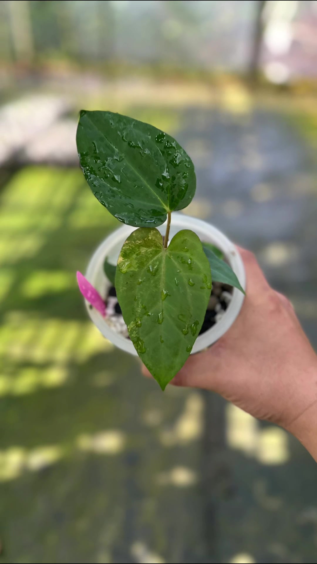 @KeepcầmKây🥦