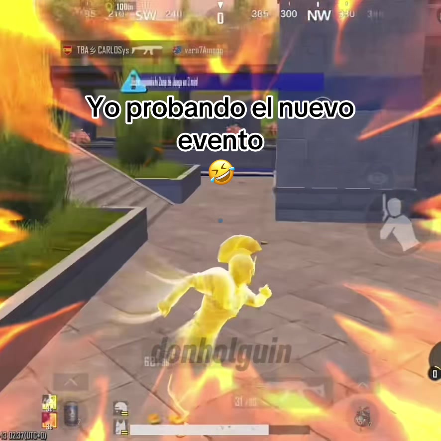 @donholguin