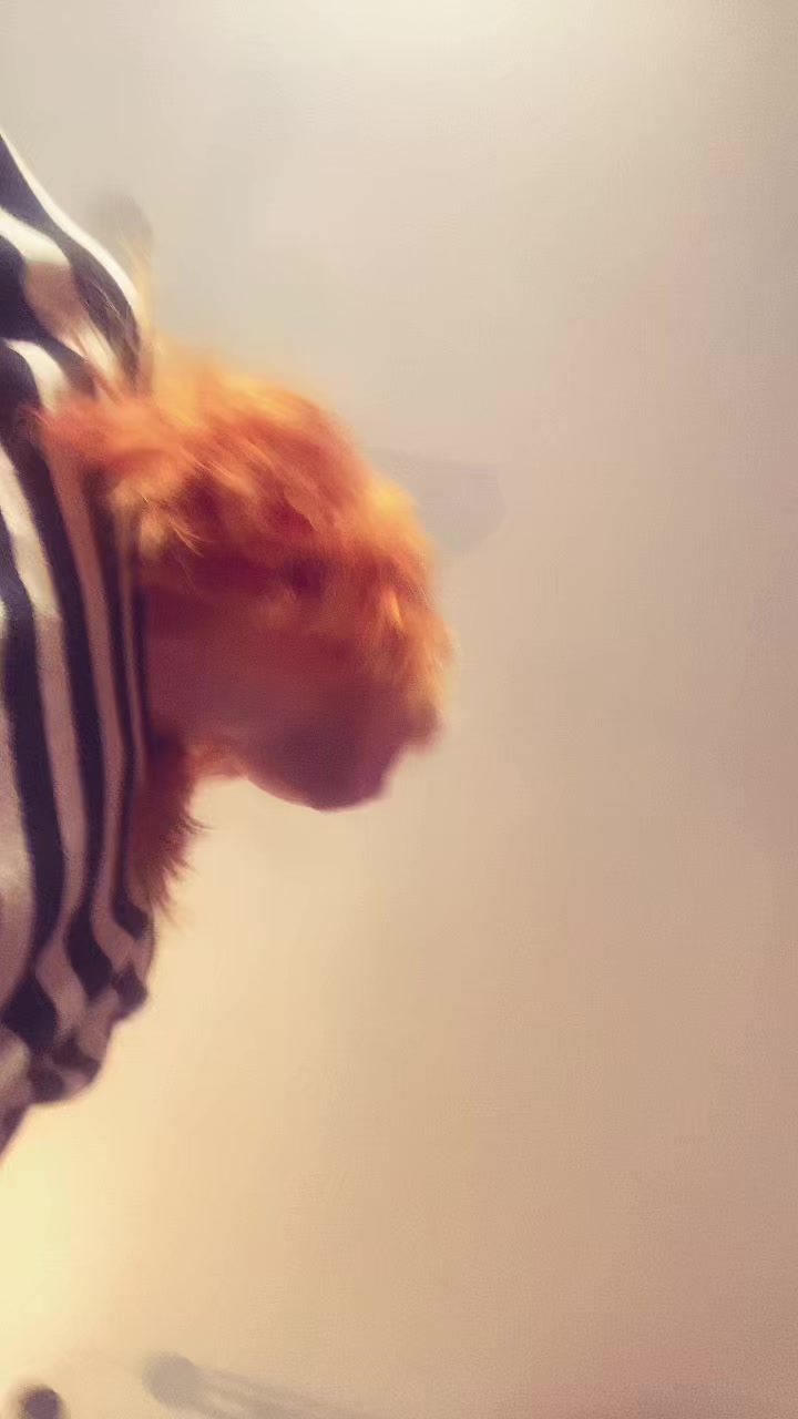 @dani