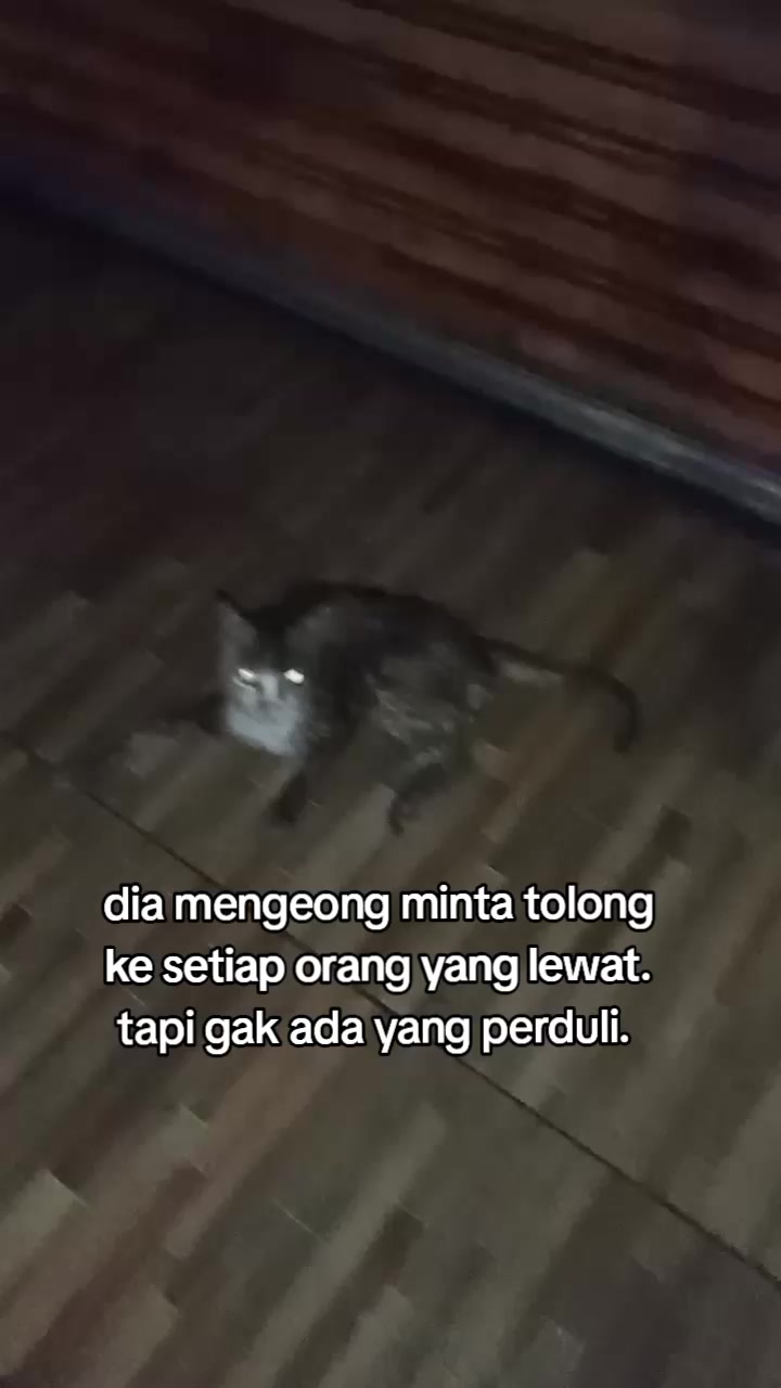 @gaby