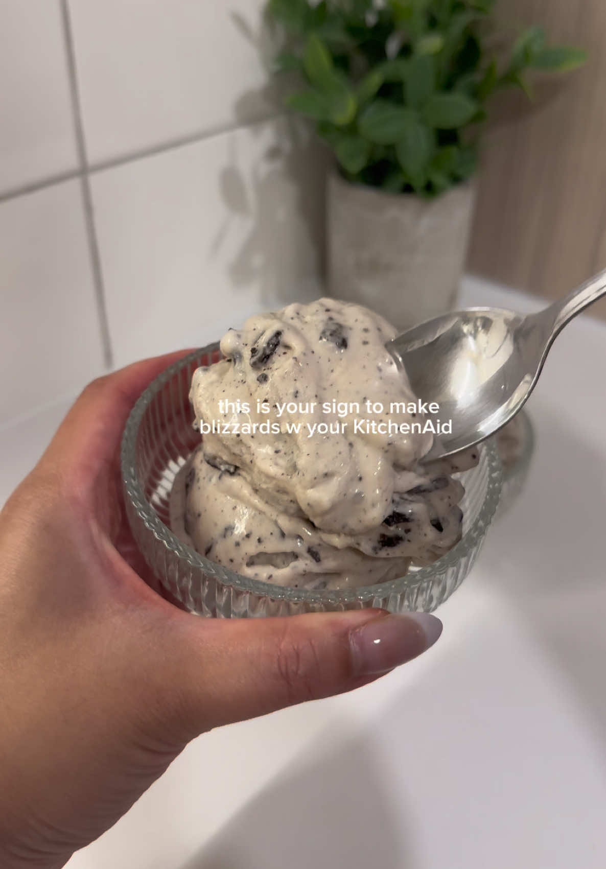@sheena barnes