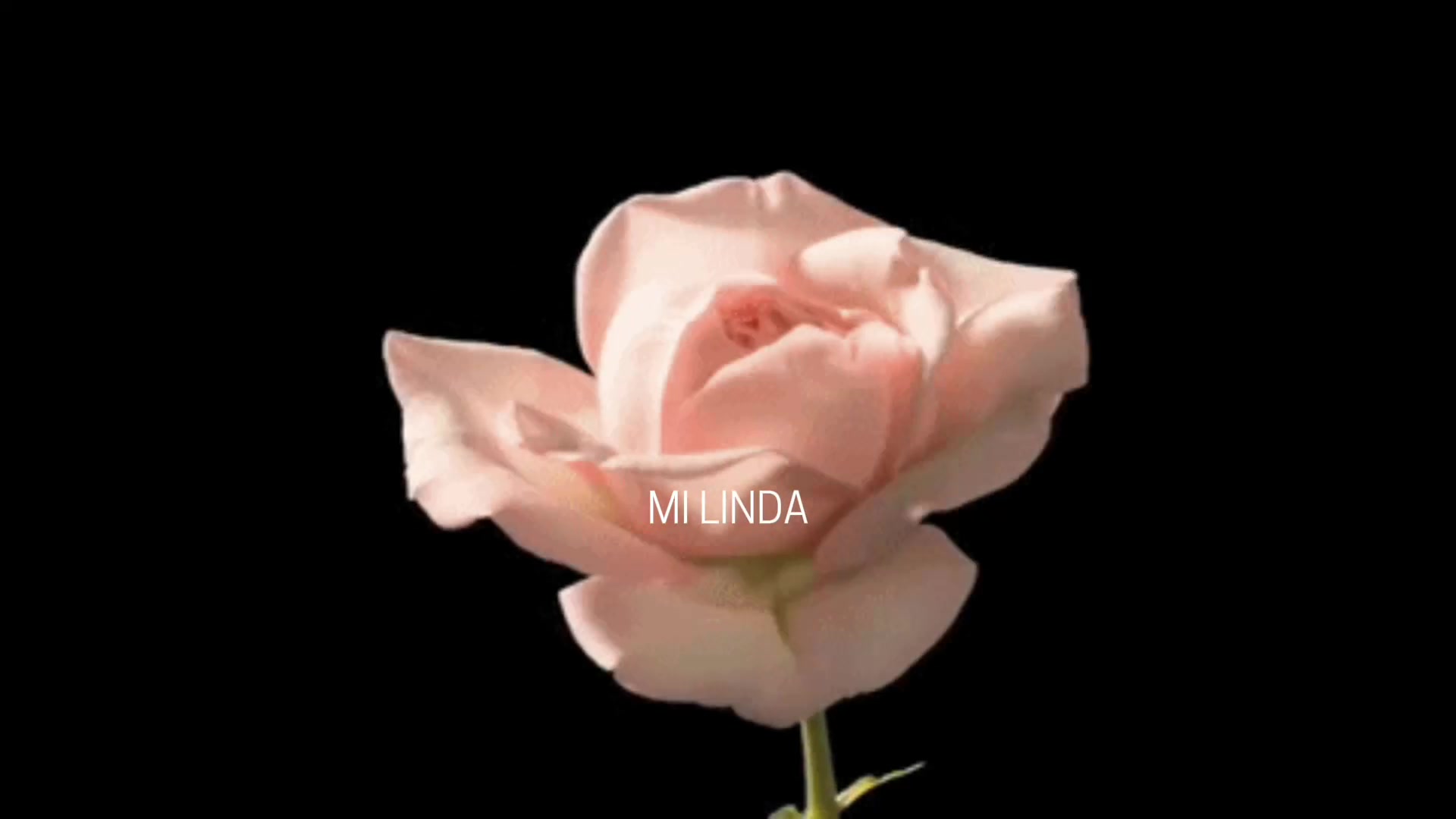@♱&deg;𝒩𝒶𝑜